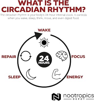 Nootropics Depot Nobiletin Capsules | 250mg | 30 Count | 20% Extract | Citrus aurantium | May Help Suppot Cognitive & Metabolic Function | May Help Promote Cardiovascular Function
