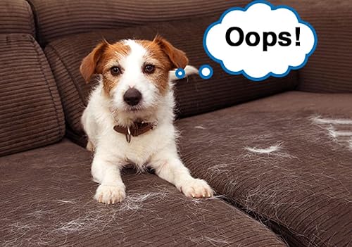 Miniatura 5 de Rodillo removedor de pelo de mascotas - Rodillo de pelusa para pelo de mascotas - Removedor de pelo de perros y gatos autolimpiante - Quita el pelo