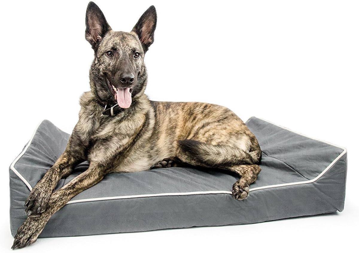 Titan Dog Bed- Chew Resistant, Memory Foam, Washable Cover, Waterproof Liner - Durable Premium Dog Bed