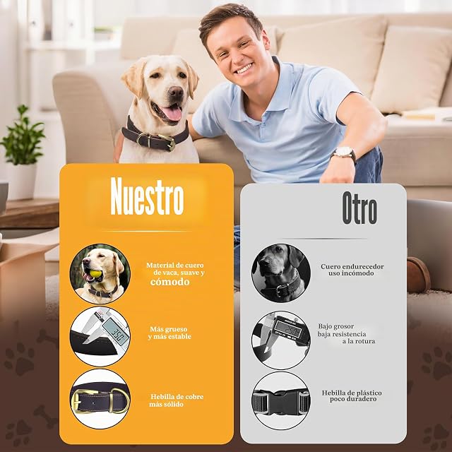 Foto 4 de 6 de Collar para Perros de Cuero Genuino XXL (54-64cm) Marrón