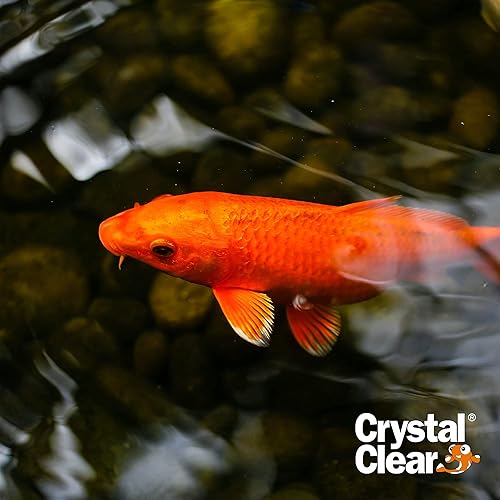 Miniatura 6 de CrystalClear Algae D-Solv - Alguicida registrado