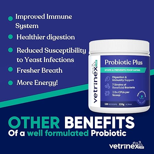 Miniatura 5 de Probióticos para perros y gatos con prebióticos, 3 mil millones CFU, 7 cepas, mejor suplemento para el alivio de diarrea, infecciones de la piel y