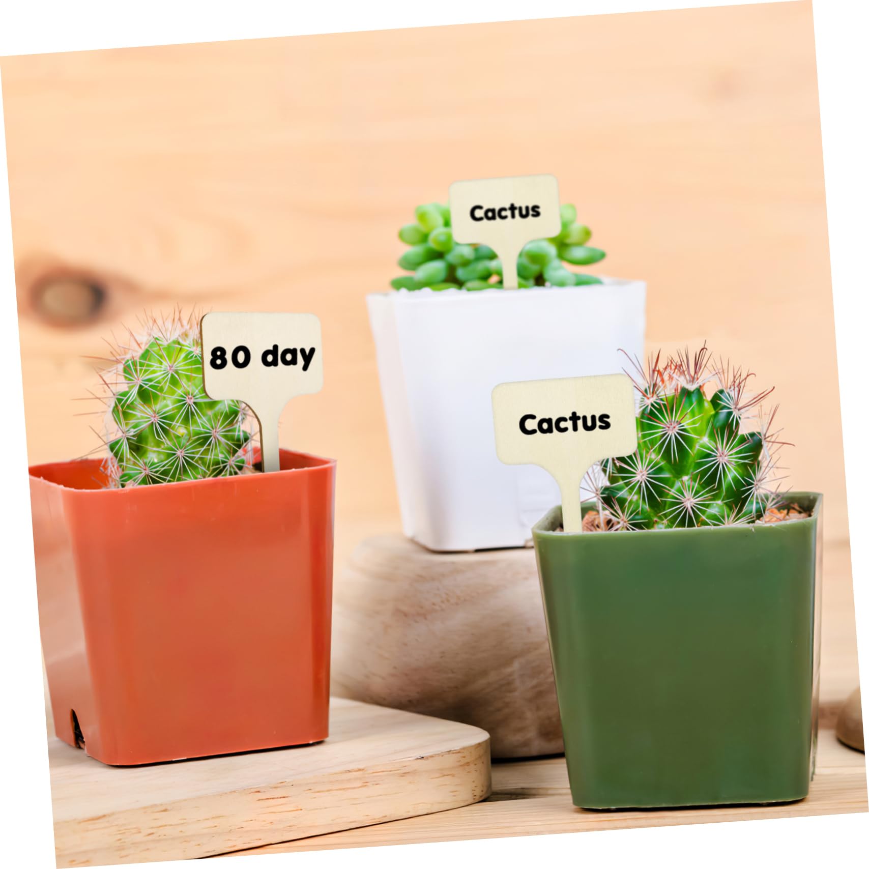 POPETPOP 250pièces Étiquettes De Plantes Marqueurs De Jardin Pour Semences Et Fleurs Lot De Étiquettes Réutilisables Pour Identifier Vos Plantes Et Votre Espace
