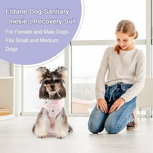 Miniatura 2 de Etdane Pañales sanitarios para perros, ropa interior de periodo fisiológico, trajes de recuperación quirúrgica para perros machos y hembras, koala