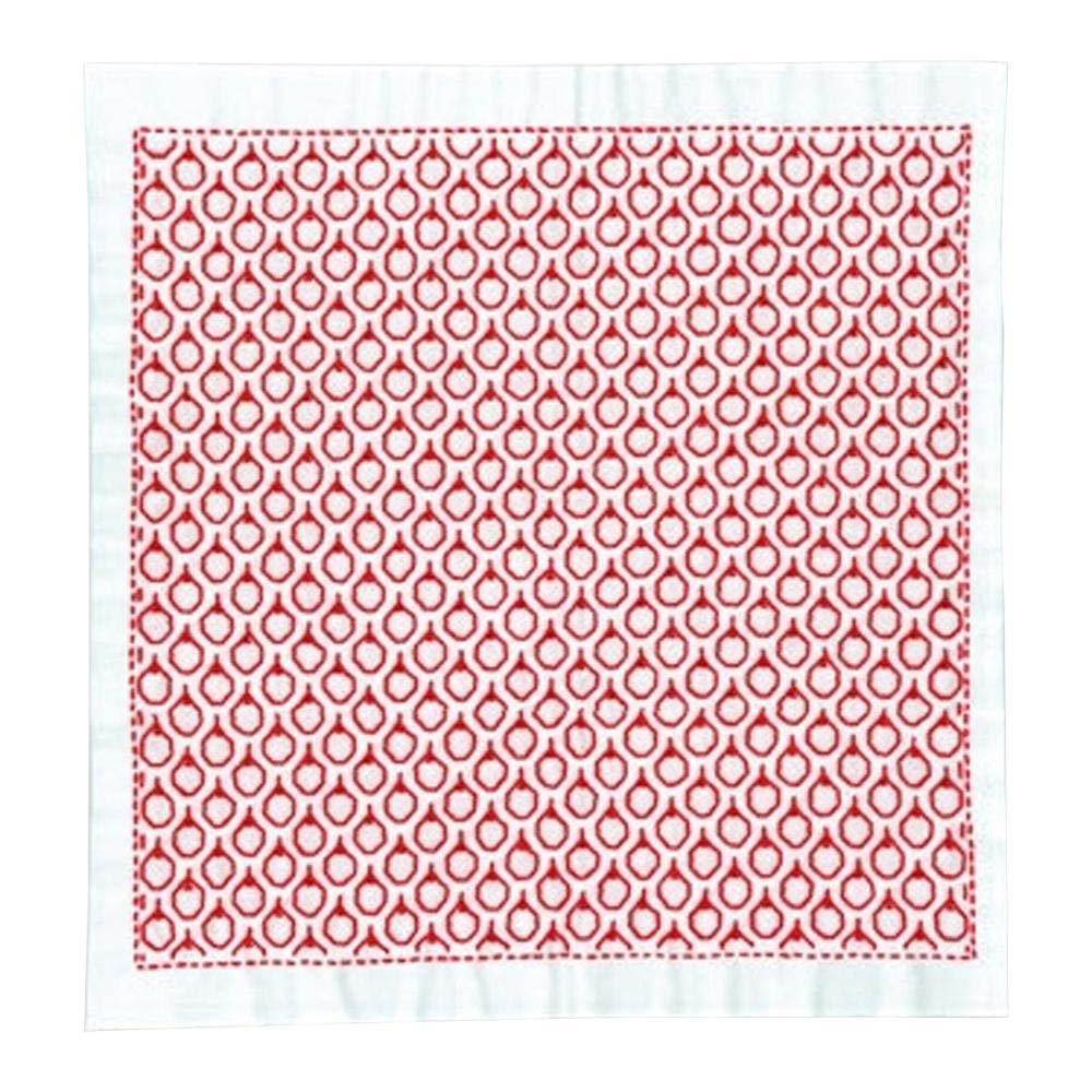 olympusThread Hitomezashi Sashiko Hana Fukin Apples Printed Fabric Embroidery Kit