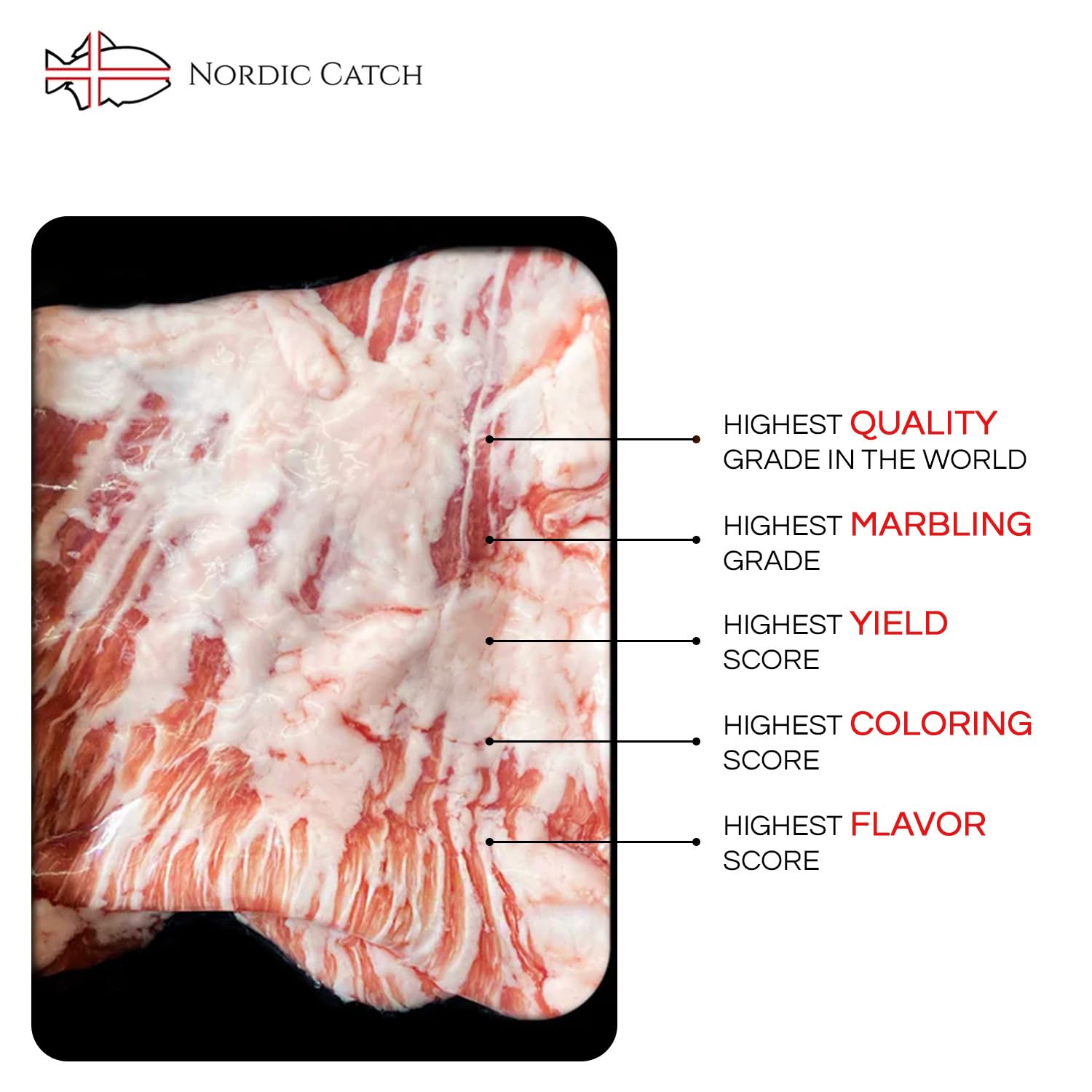 Nordic Catch Free Range Ibérico Pork Lovers Bundle, Premium Pork, Flank Steak, Pork Tomahawks, Wagyu Beef Bundle Humanely Sourced in Southern Spain - Pork Chops & Steaks Free of Antibiotics & Hormones