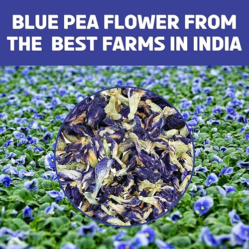 Miniatura 50 de BREWIX, Discover India Caja de regalo de Navidad de té negro prémium (6.34 oz/más de 90 tazas) Juegos de regalo de té para amantes del té 6 tés