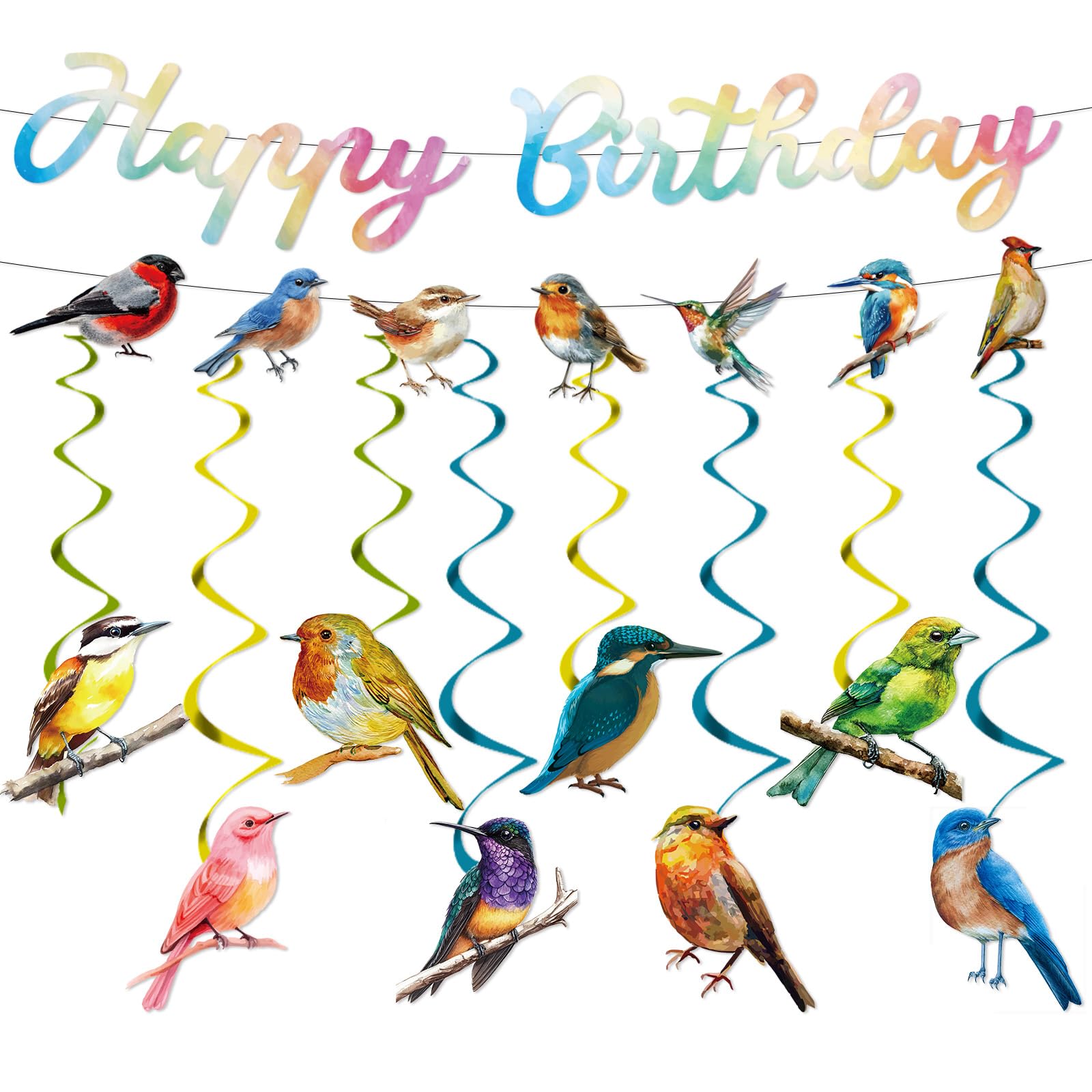 InIsaJace HummingBird Birthday Party Decorations - 10PCS Humming Bird Banners and Hanging Swirls Decor for Bird Theme Party Supplies
