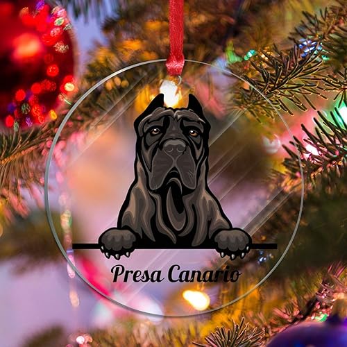 WoGuangis Adorno de Navidad Presa Canario AcrĂlico Adorno de árbol de Navidad Recuerdo de vacaciones Colorido Peeking Perro Amante de Mascotas WoGuangis Adorno de Navidad Presa Canario AcrĂlico Adorno de árbol de Navidad Recuerdo de vacaciones Colorido Peeking Perro Amante de Mascotas