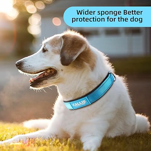 Miniatura 7 de Collar de perro personalizado con nombre y número de teléfono, hebilla duradera, acolchado de neopreno suave ultra ancho, collar reflectante