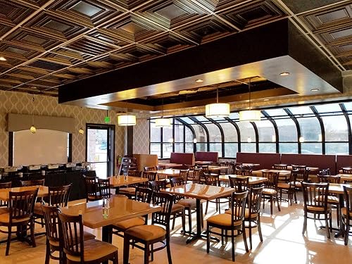 Vista 29 de From Plain To Beautiful In Hours 222 Schoolhouse - Azulejos de techo de PVC de 2 x 2 pies (cubiertas/40 pies cuadrados), cobre antiguo, 10