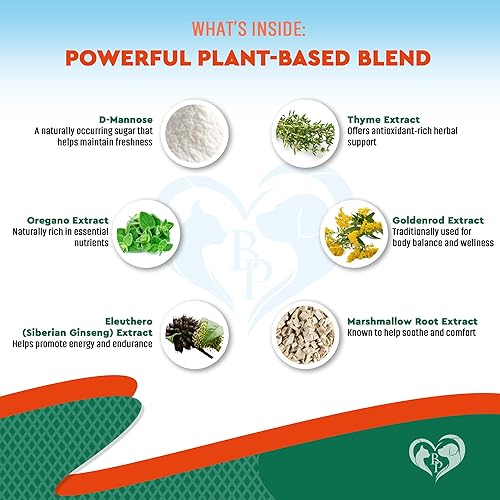 Miniatura 4 de Antibiótico natural para perros y gatos - Suplemento herbario para aliviar la tos de las perreras, tratamiento de infecciones urinarias, salud del