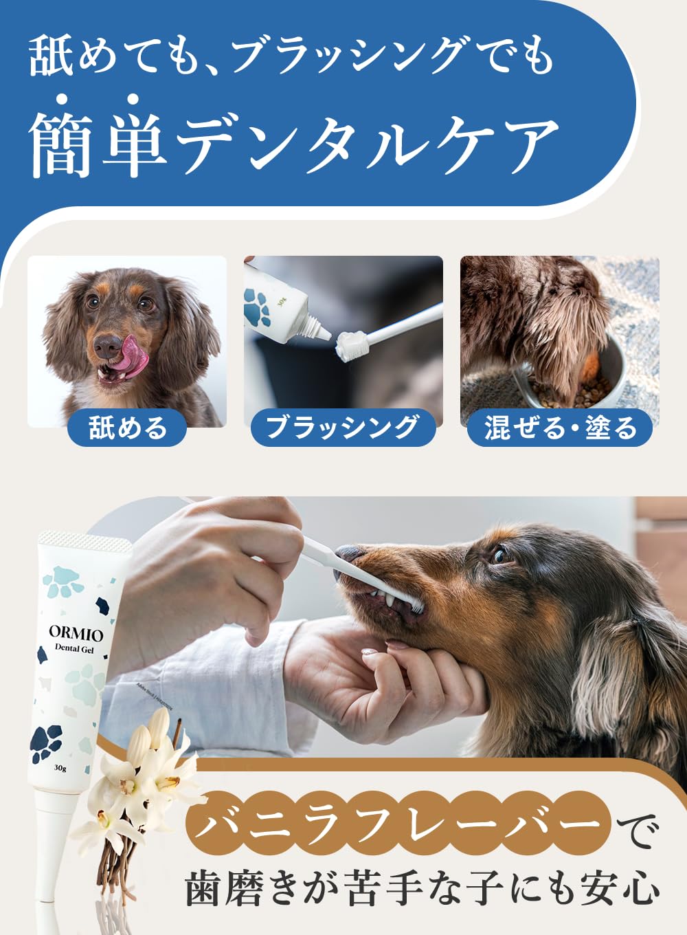 Amazon.co.jp: 【獣医師監修】ORMIO 犬 猫 オーラルケアジェル