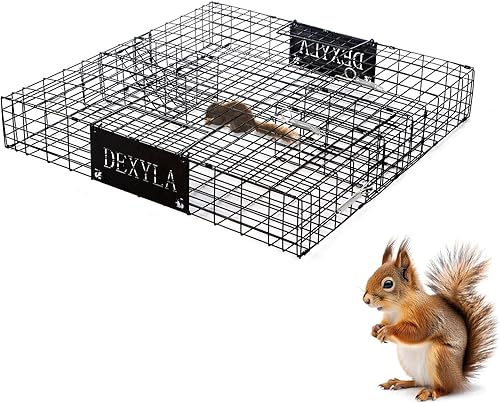 Trampa de ardillas, captura y liberación humanitaria, puede atrapar varias ardillas o ardillas a la vez