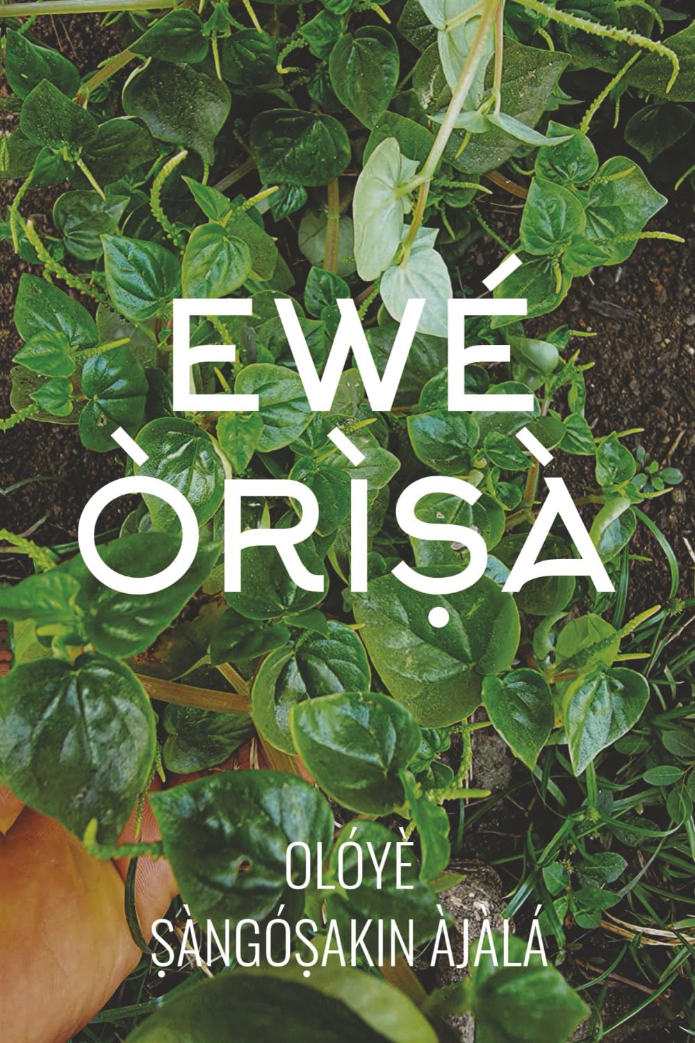 Ewe Orisa      Paperback – January 29, 2026