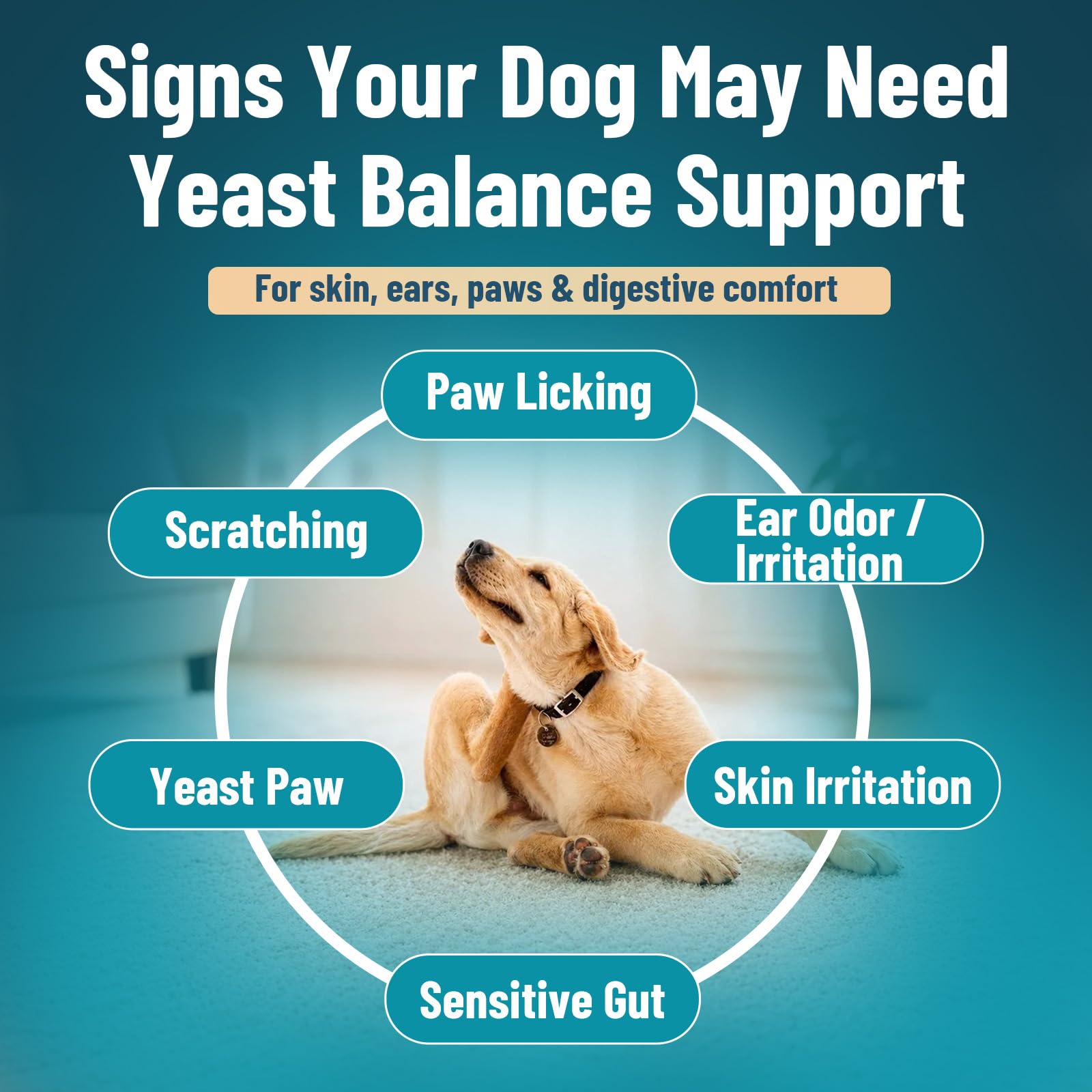 VICSOM Dog Yeast Infection Treatment, Natural Itchy Skin Ear Support, 60ml — Amazon image 2