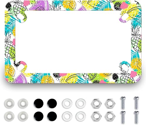 Miniatura 11 de Marco de matrícula de dragón para motocicleta, escala colorida, de acero inoxidable, divertido soporte para matrícula de motocicleta, porta Escala