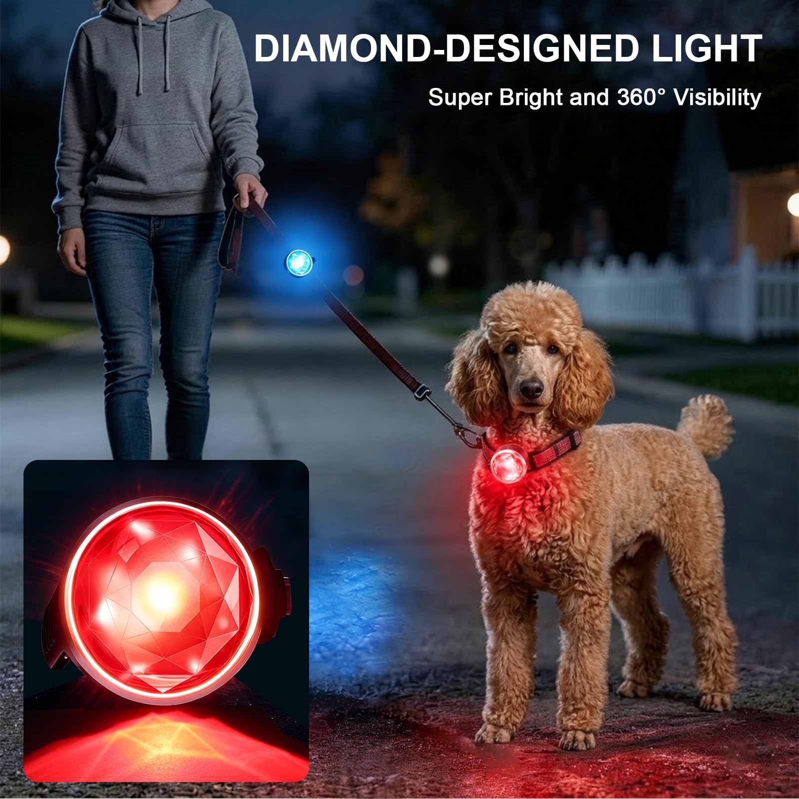 Confezione da 2 luci per collare per cani, ricaricabili USB-C, con clip, impermeabili, con cinturino in silicone regolabile, per passeggiate notturne, campeggio (RGB 7 colori)