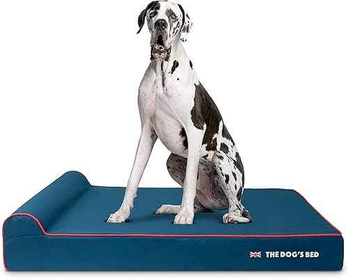 Miniatura 44 de Cama ortopédica para perro de la marca The Dog's Bed, espuma viscoelástica premium S-XXXL, impermeable, alivio del dolor de perro para la artritis,