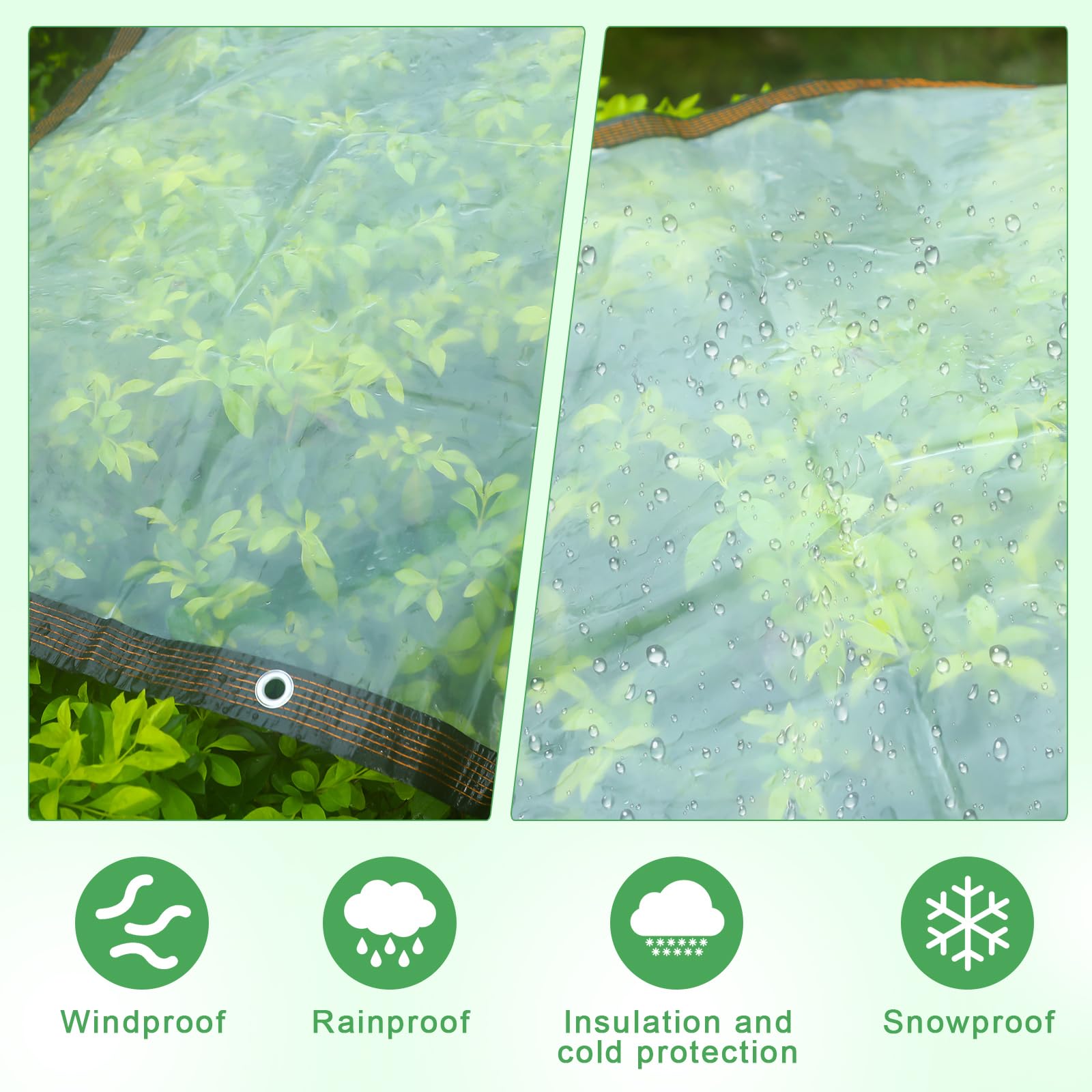 新品2種　TARP to TARP GRASS AIOT! ver. Amazon.com: Windyun 2 Pack Heavy Duty Clear Tarps with Reinforced