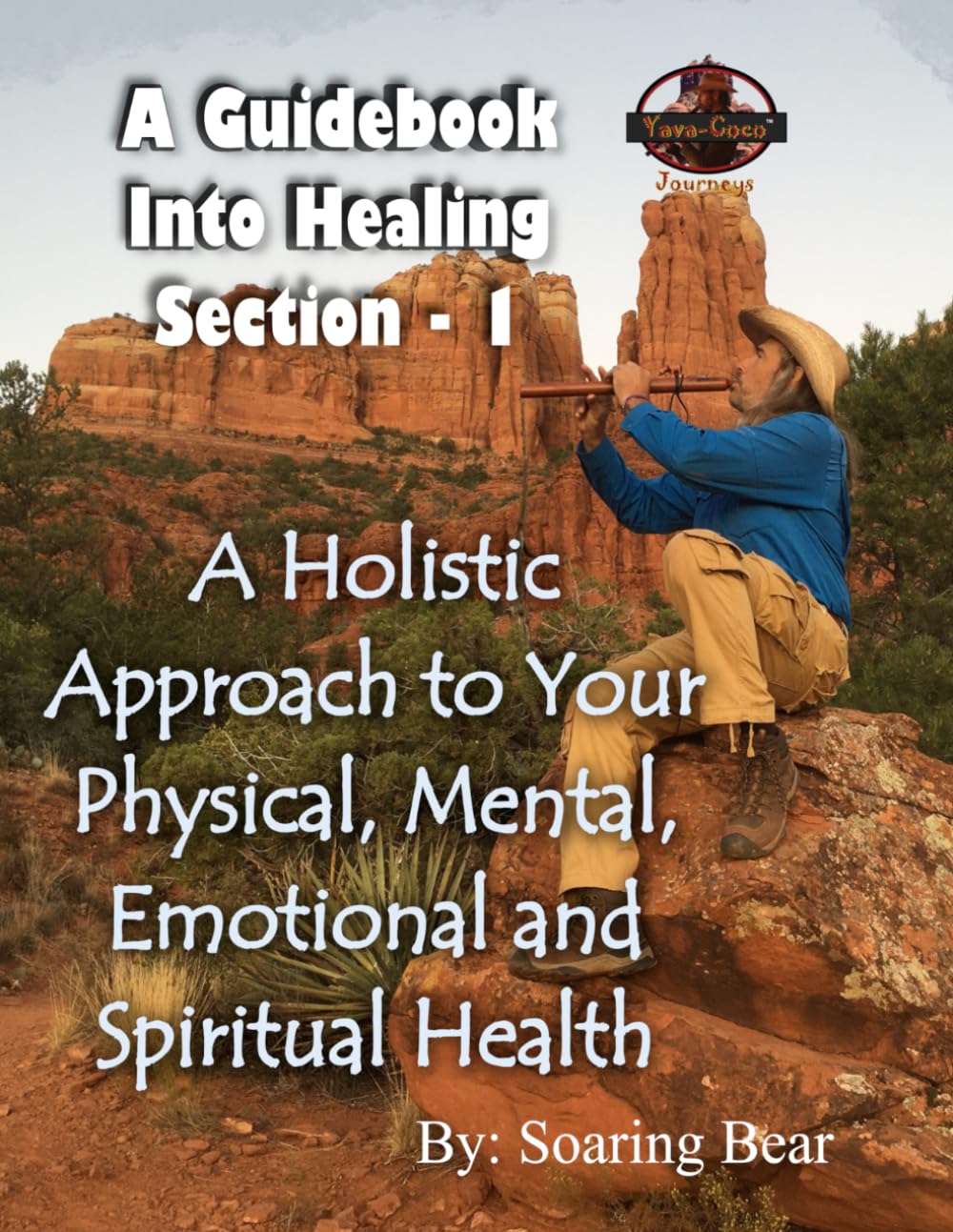 A Guidebook Into Healing - Section 1: The Human Doing Part (Sustainable Holistic Healing)