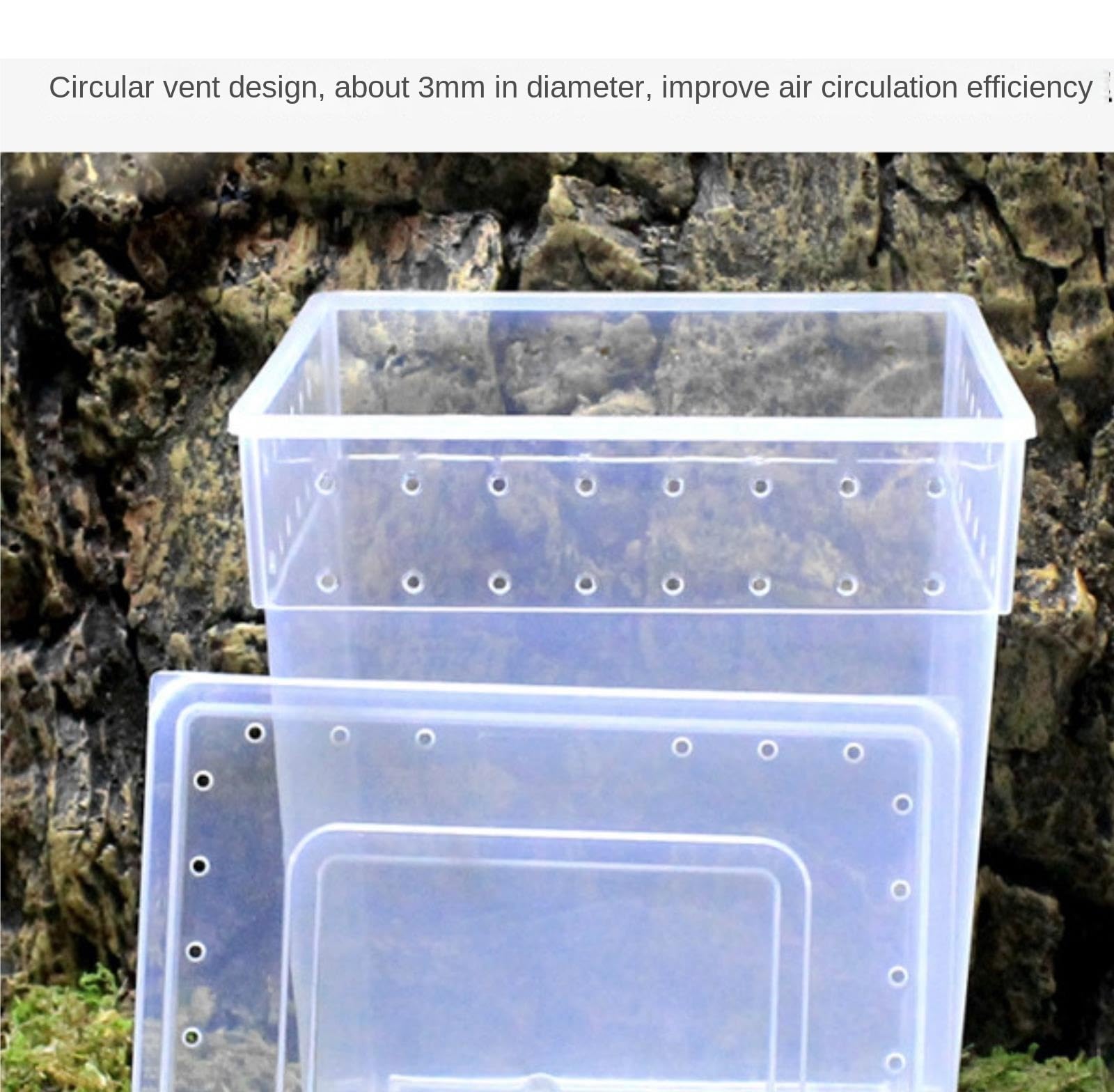 Cría Insectos Terrario De Reptiles, Caja Cría For Serpientes, Cangrejos Ermitaños, Ranas E Insectos Accesorios