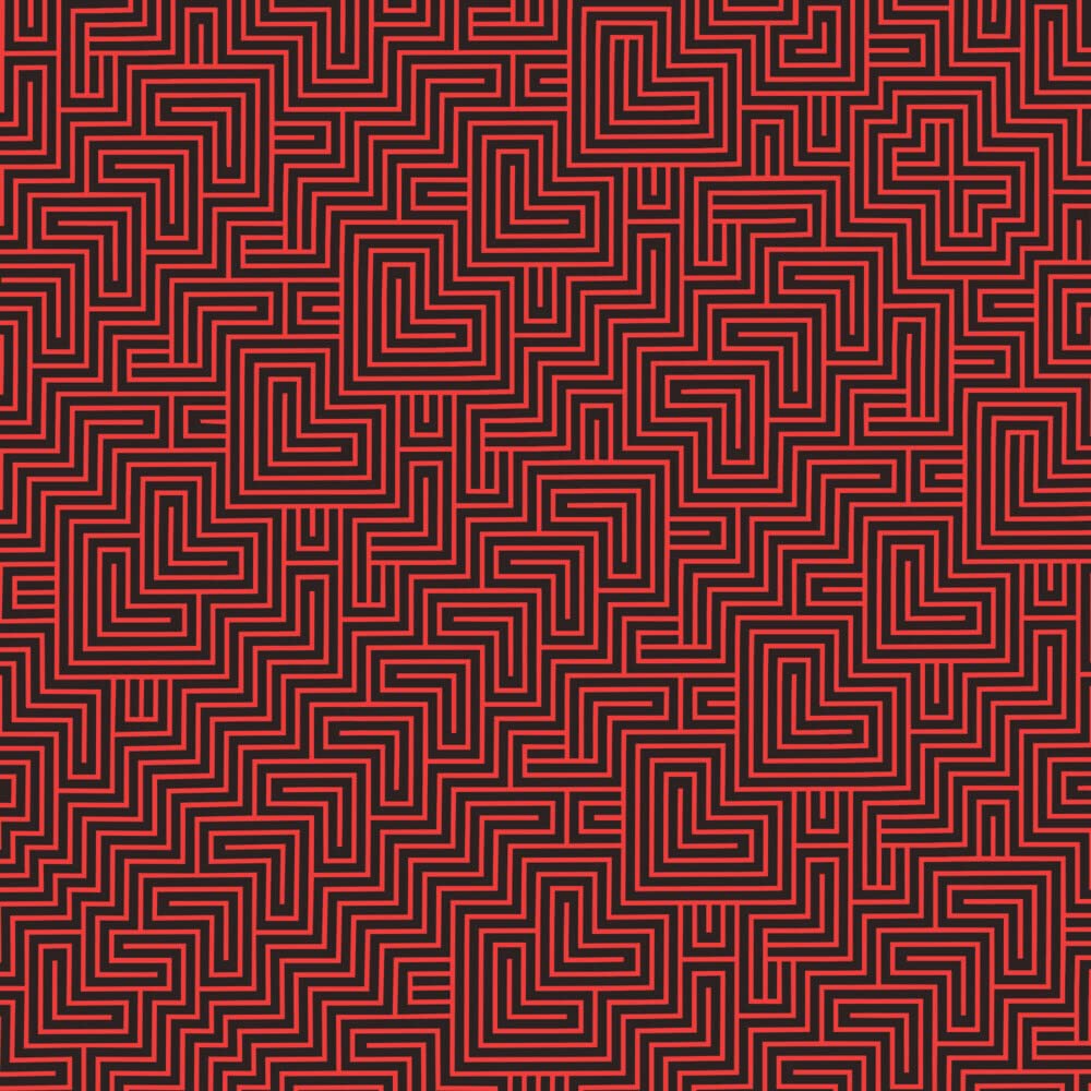 Wilderness of Mirrors