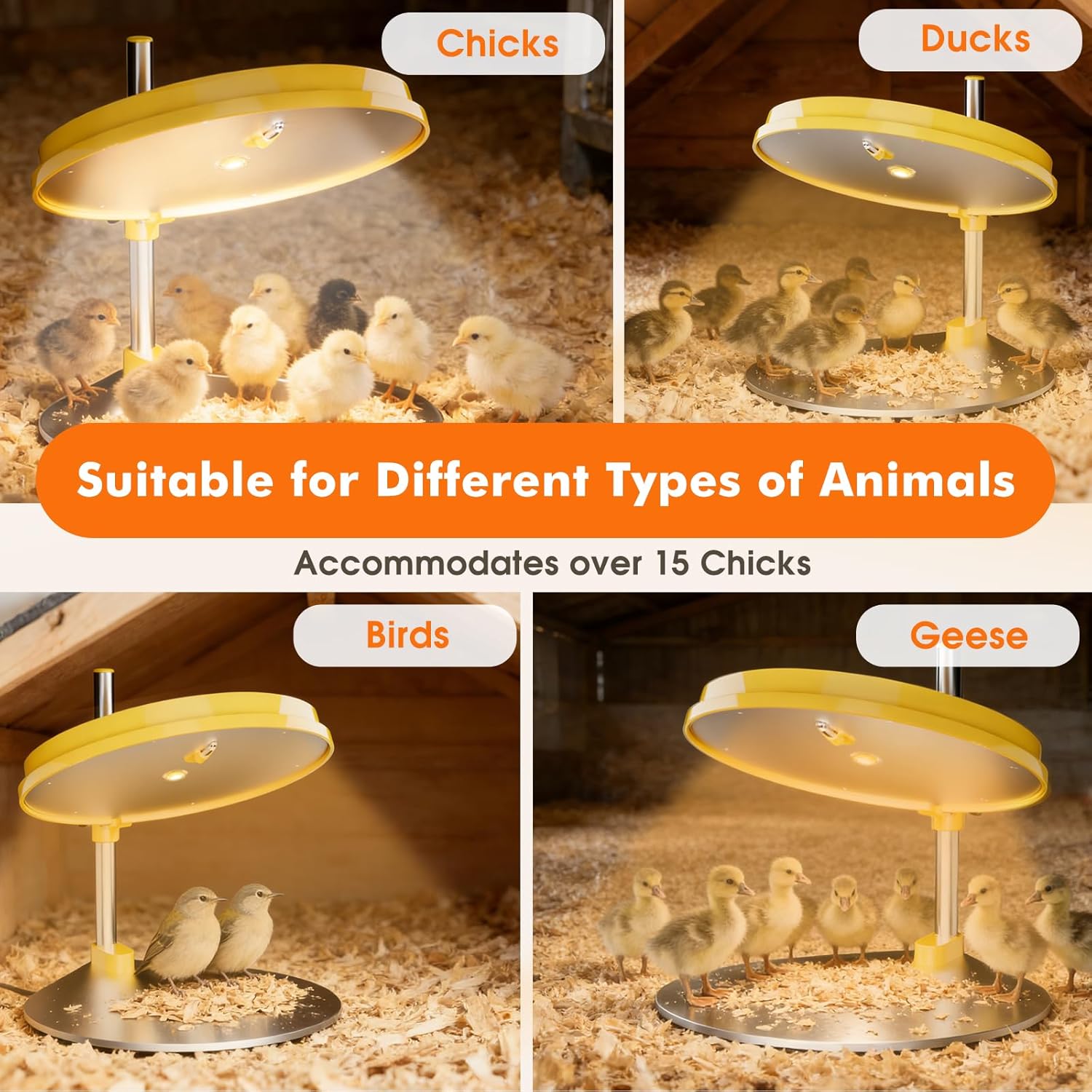 IVJ Chick Brooder Heating Plate with LED Light, 45W Adjustable Temperature Brooder Plate for 15-20 Baby Chicks, Digital Display Heating Plate for Chicks