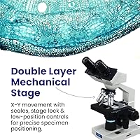 Vista 4 de OMAX Microscopio de laboratorio compuesto binocular LED 40X-2000X con platina mecánica de doble capa + portaobjetos en blanco, cubreobjetos y papel