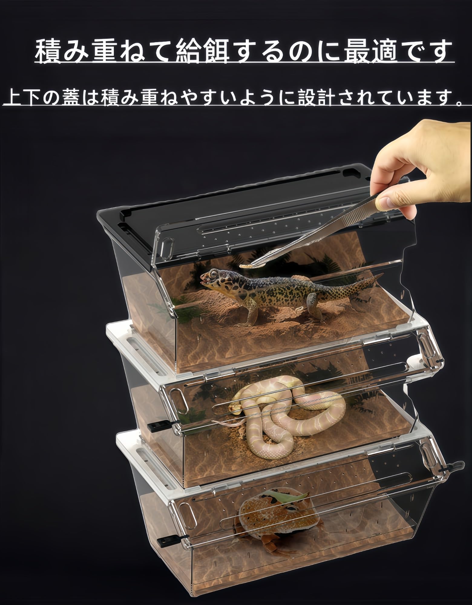 Amazon | レオパ ケージ 爬虫類 ケース ヒョウモントカゲモドキ 飼育