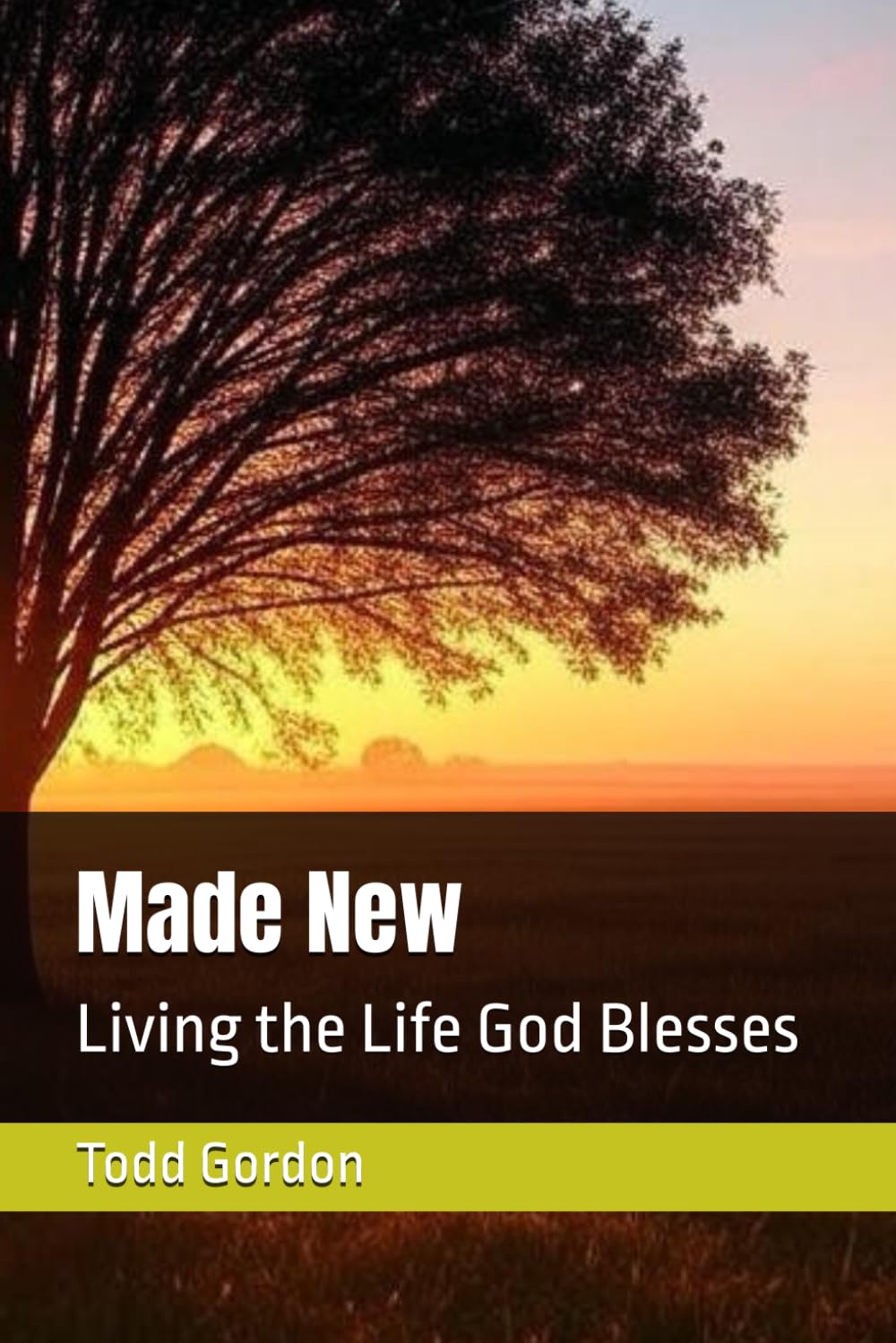 Made New: Living the Life God Blesses
