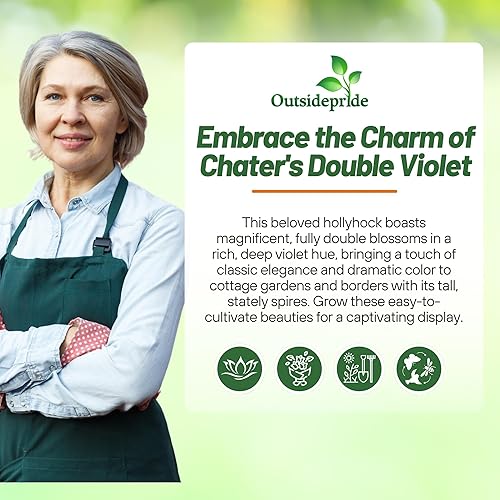 Miniatura 6 de Outsidepride Double Hollyhock Seeds  200 piezas de semillas de flores perennes de color violeta, tolerantes a la sequía de larga duración con flores