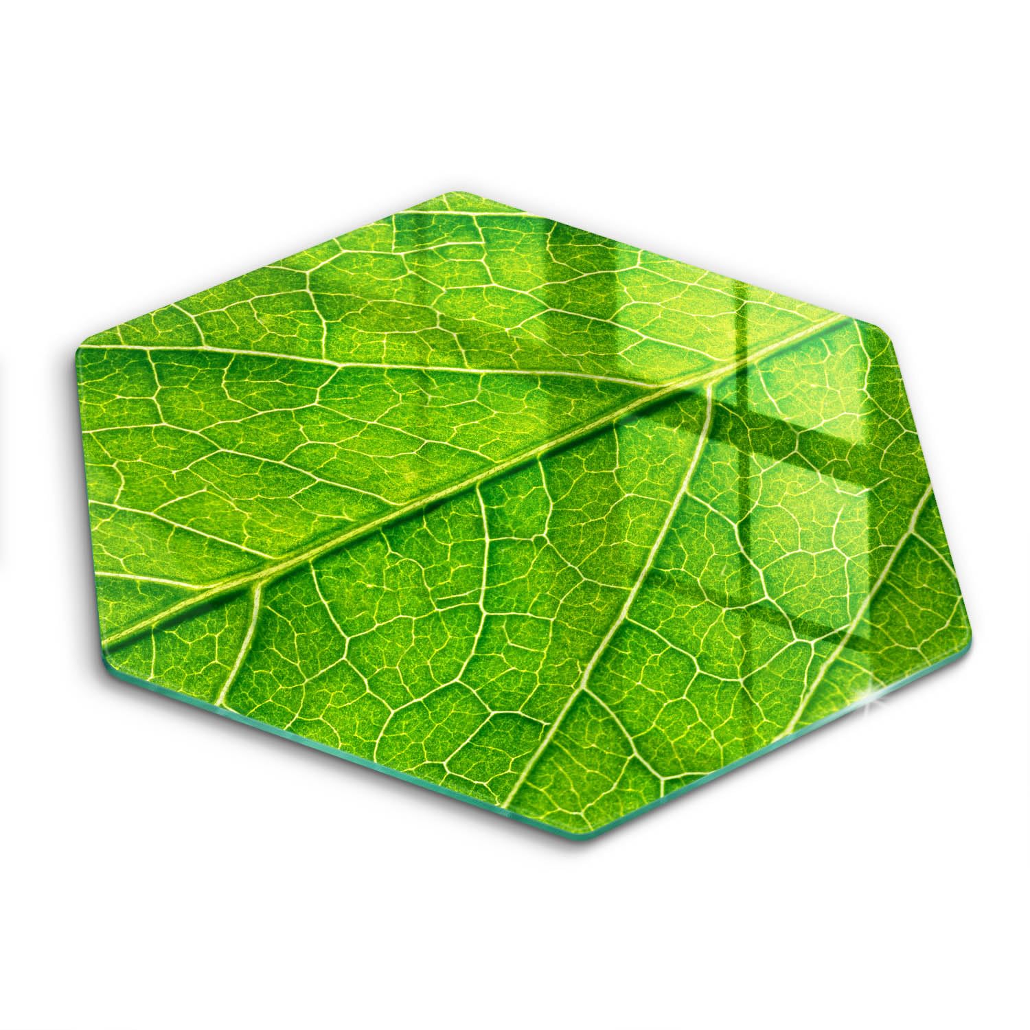 Planche à découper de cuisine Wallfluent en forme hectagonale motif nature feuilles
