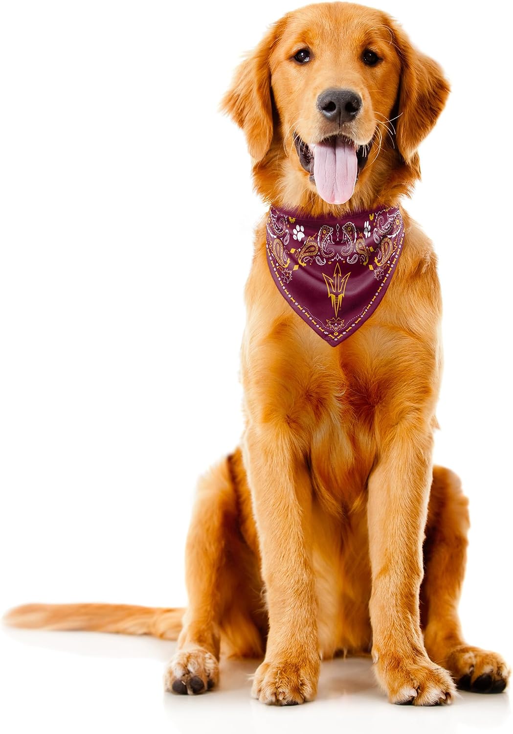 Littlearth NCAA Unisex NCAA Pet Bandana - Reversible