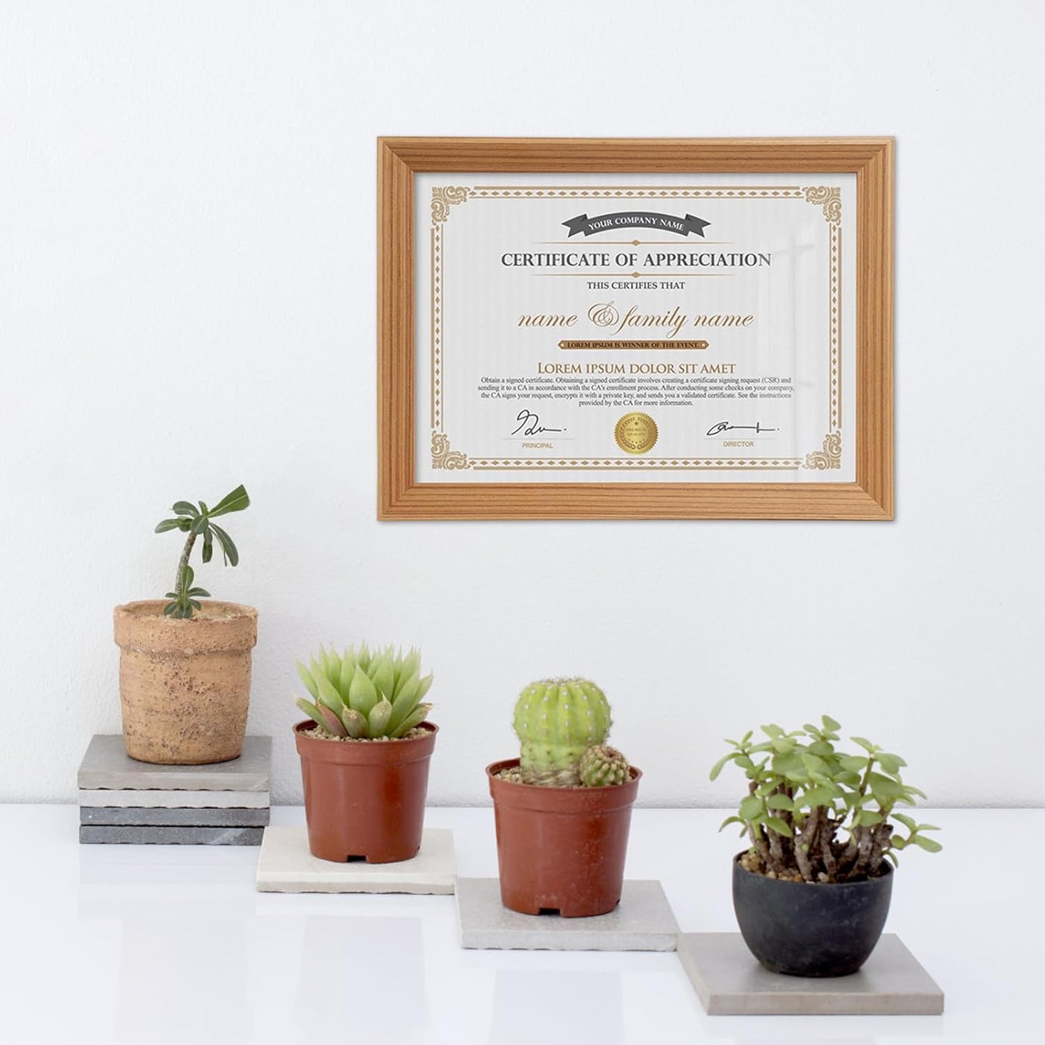 10 x 14 inch Certificate Diploma Frame Graduation Degree Document Picture Frame for Wall Mount Décor and Tabletop Display, Beige