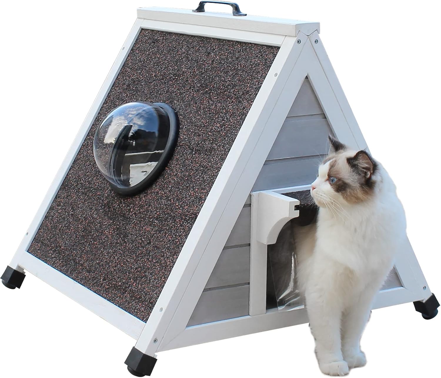 Yetuk tola ayollar Banyoda jinsiy aloqa haqida hikoyalar