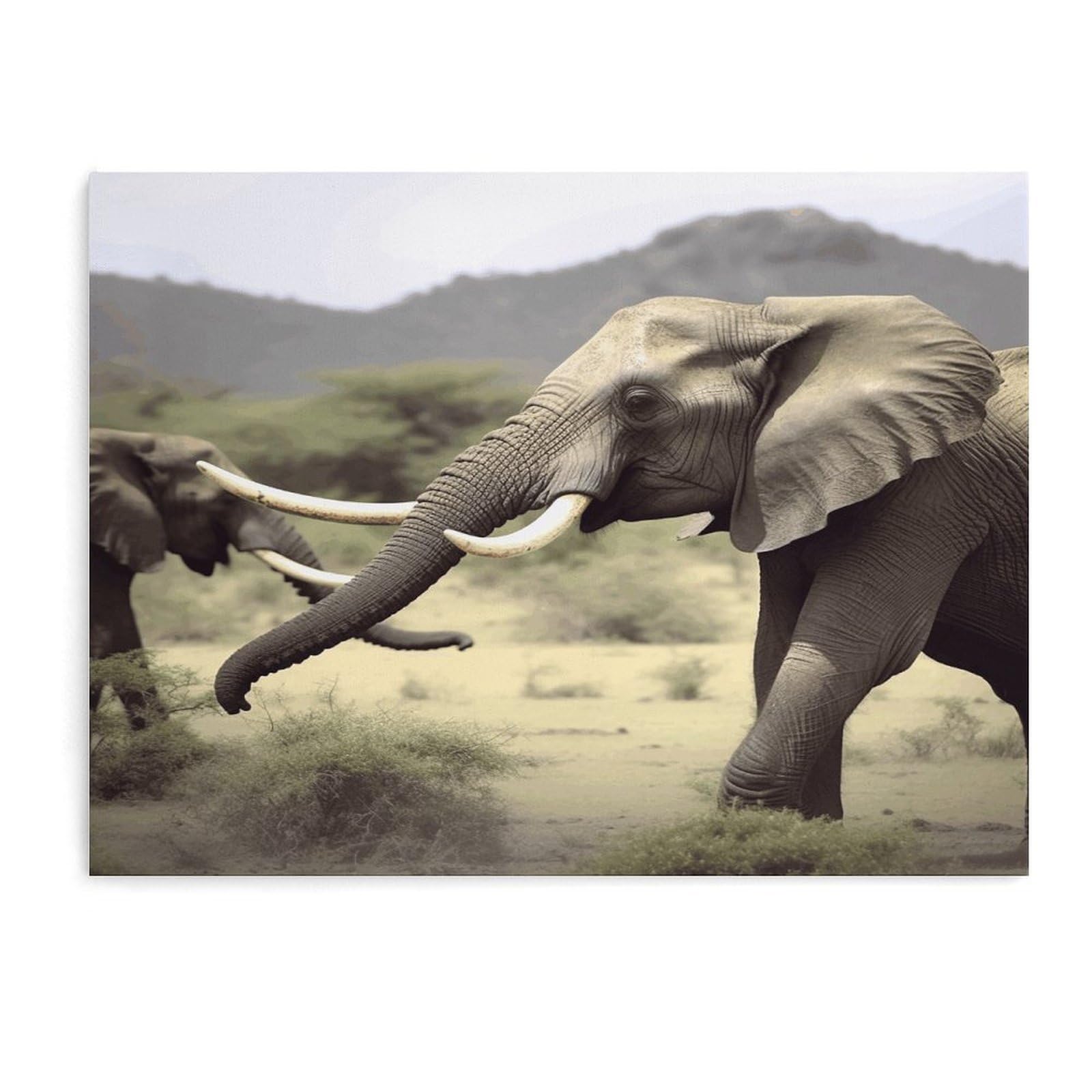 Fodpand Unframe-Style Elephants Animals Bathroom Wall Art Canvas Prints, Artwork For Walls For Living Room Hallway Stair Office Wall Decor, Pictures Home Decor 15.7X11.8 Inch