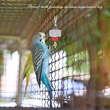 2Pcs Bird Calcium Teeth Grinding Chew Treats Toy Bite Training Chewing Toy with Bell Grinding Teeth Lava Block Grinding Teeth Supply for Parakeet