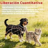 Ver la foto 7