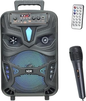 Junglee Led I ikli Bluetooth Hoparl r Mikrofonlu Kablosuz  arjl  Ta inabilir Speaker Siyah P55