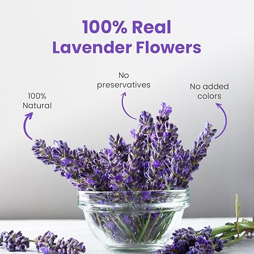 BLUE TEA - Té de lavanda - 1.05 onzas (más de 30 tazas) suelto | Té calmante | Té de hierbas - A base de flores - Sin cafeína - Vegano - Sin OMG -