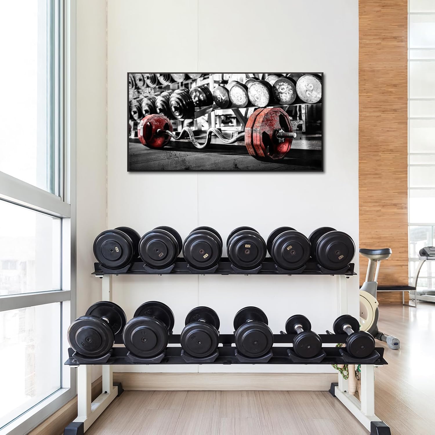 Muzenso Red Weight Plates Gym Wall Art 20x40 Inch Black and White Fitness Canvas Print with Black Floater Frame Dumbbell Barbell Artwork Modern Workout Room Office Home Decoration Ready to Hang