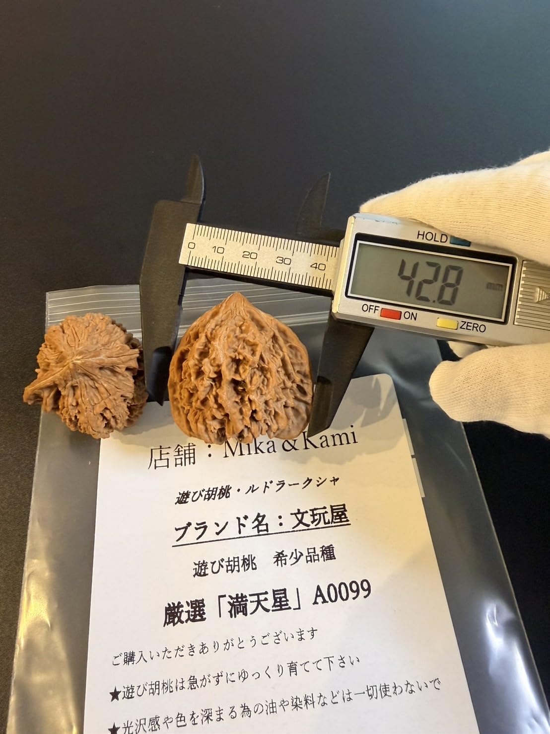 Amazon | A0099遊び胡桃 希少品種 皮質堅実「満天星」「手で遊び育てる