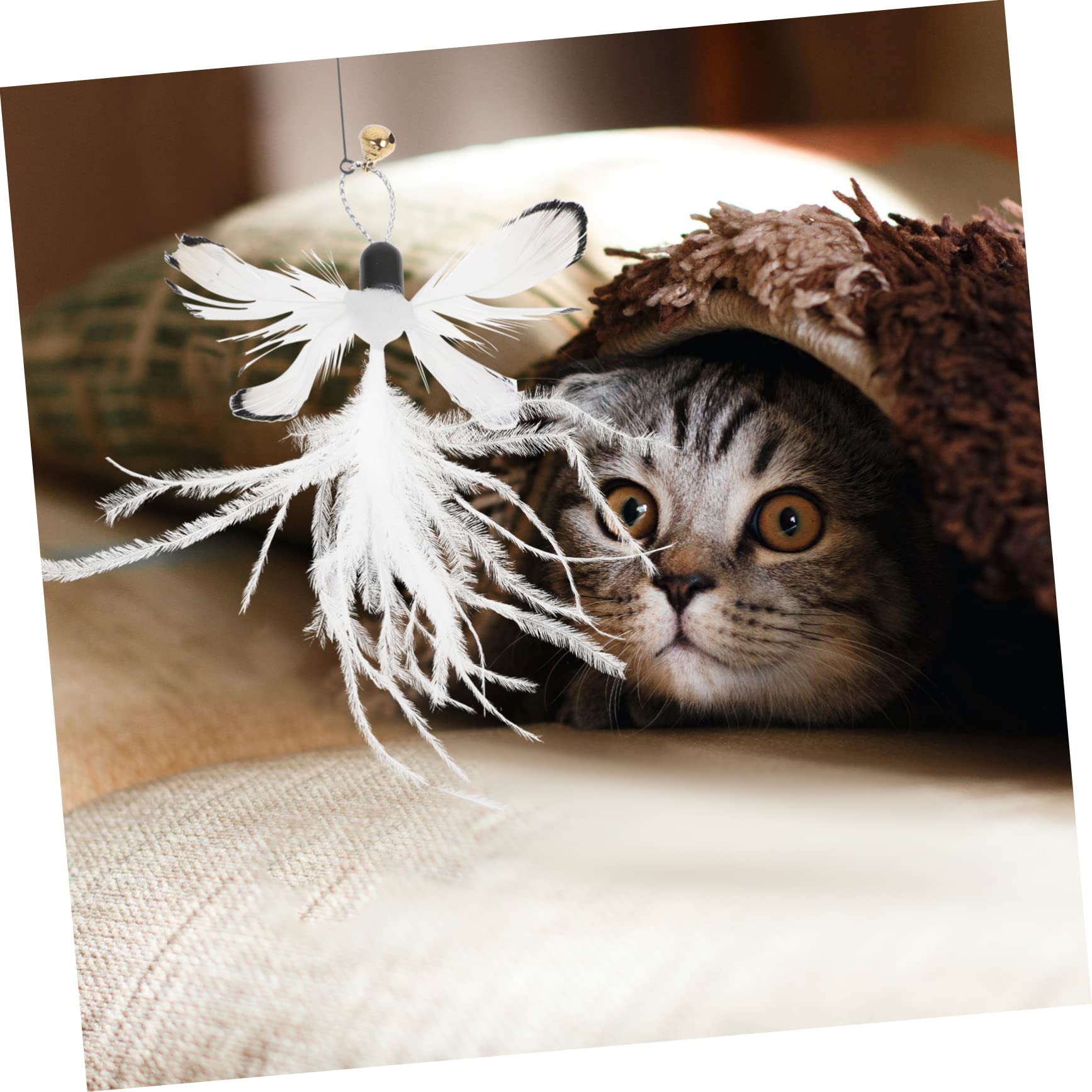INOOMP Teaser Katze STK Ersatzkopf Für Katzenangel Laufendes Katzenspielzeug Katzen-Teaser-Spielzeug Nachfüllpackungen Für Katzenspielzeug Aufsätze Für Katzenzauberstäbe Hängend Angelrute Plastik