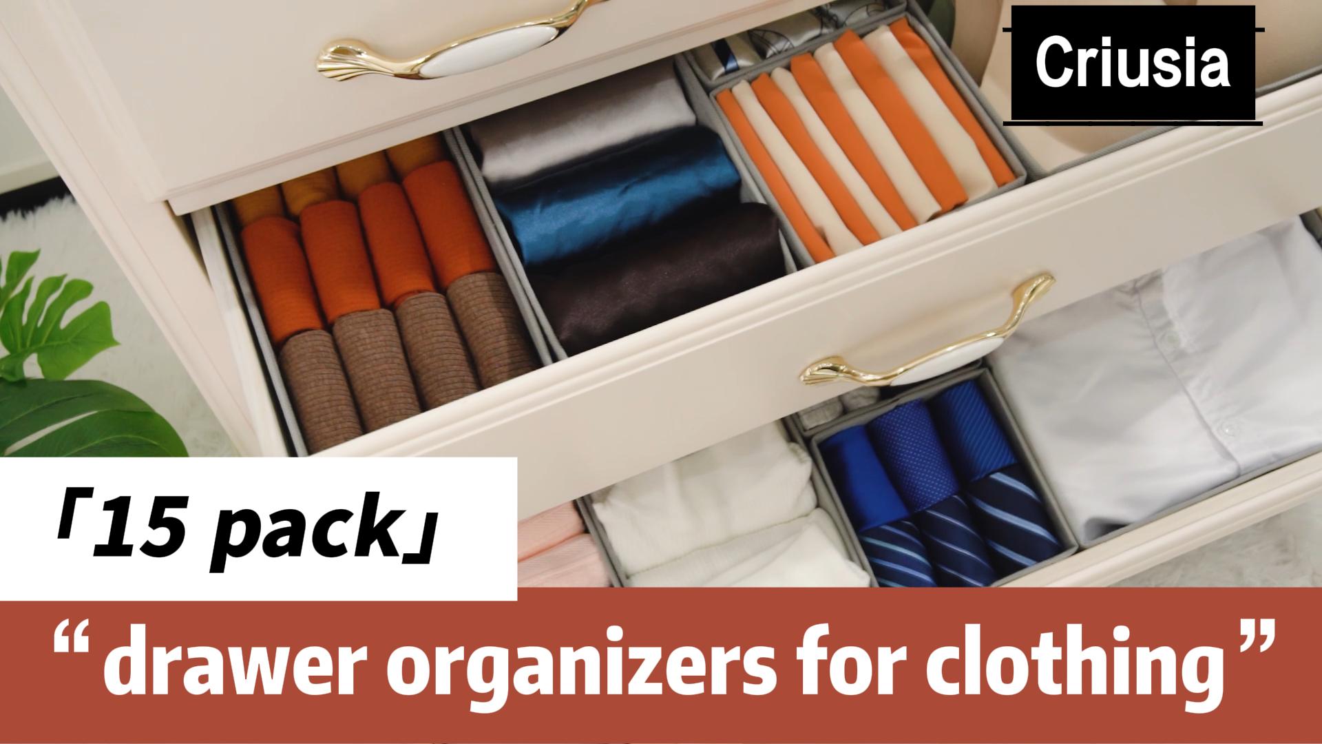 Amazon.com: Criusia Closet Drawer Organizer Clothes, 15 Pack