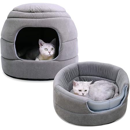 teddy bear cat bed