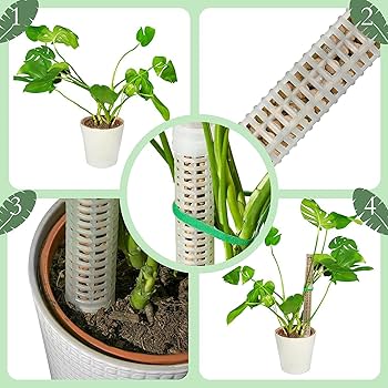 モスポール鉢5.5号3個 黒20cmモスポール水苔入り9本 半月型ポール10本 鉢モスポール 3セット 5.5号鉢(3個) 20cmモスポール(9本) 黒 鉢