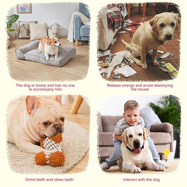 Foto 6 de 7 de Omnikryp 2 Piezas Juguetes para Perros, Juguetes con Sonido para Dog, Dog Toys Indestructible