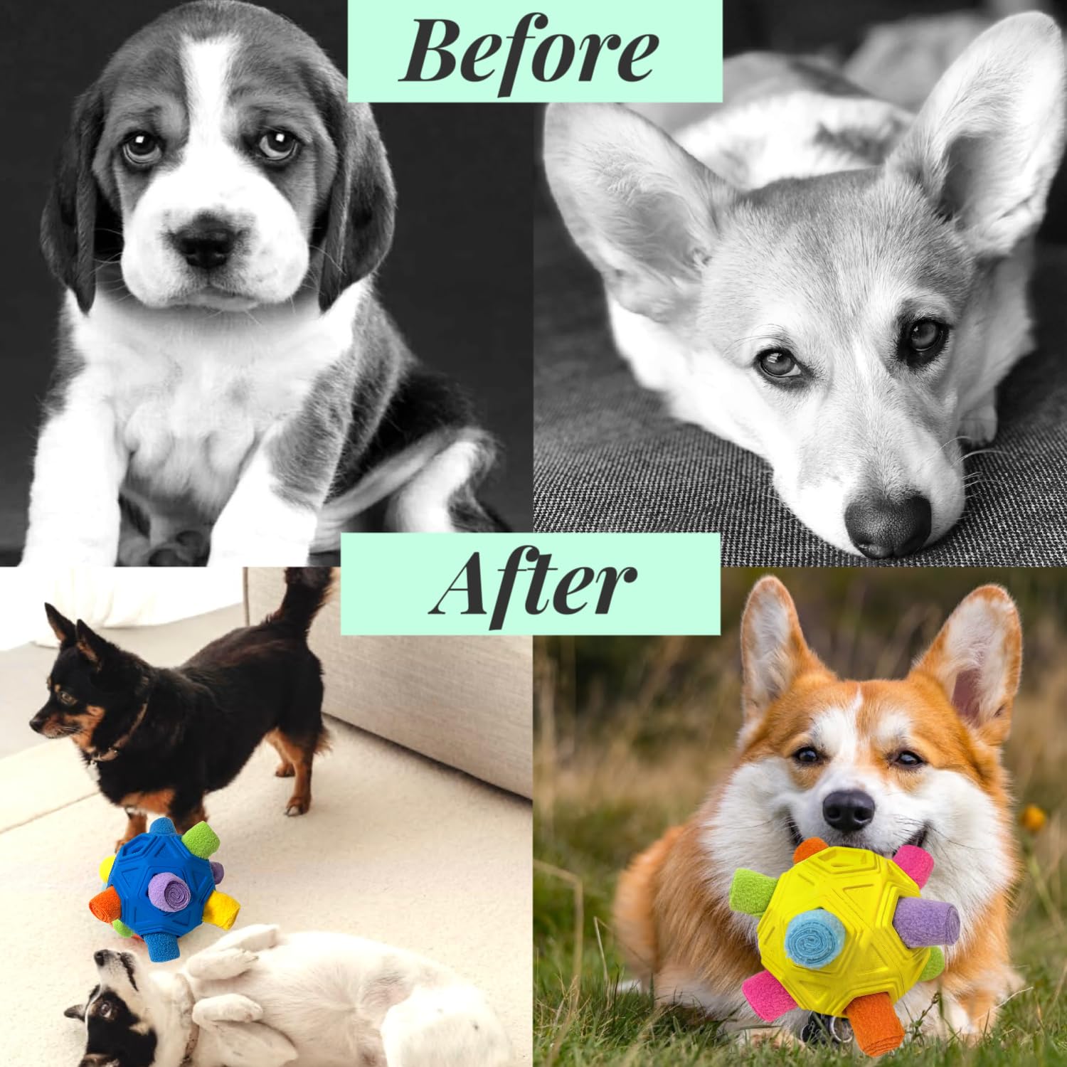 Pelota de olfateo para perros, juguete interactivo irrompible, tapete de olfateo para cachorros, dispensador de golosinas para cachorros, rompecabezas de alimentación lenta, juguetes para