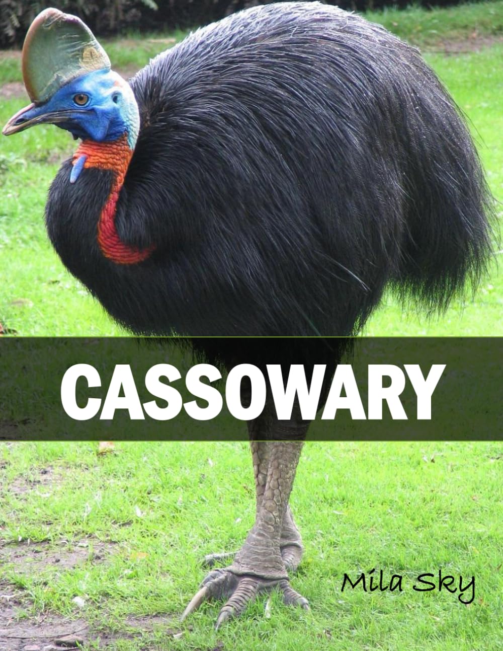 CASSOWARY: A Coffee Table Photo Book for Animal Lovers